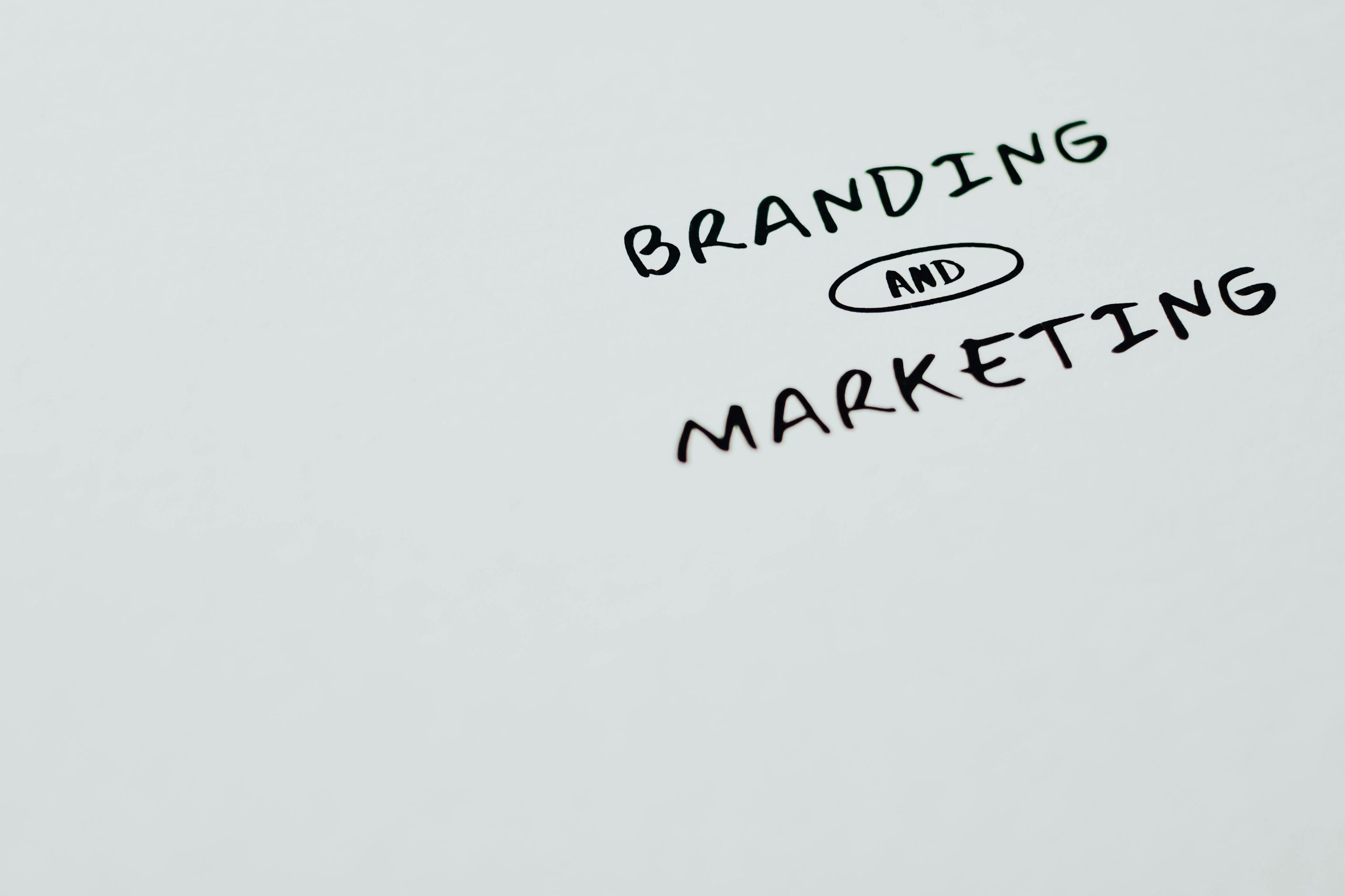 You are currently viewing Digital Branding trends in 2024